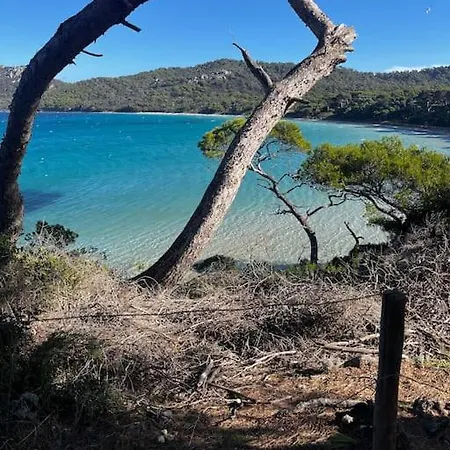 Au Pradet Avec Piscine Les Pieds Dans L'eau וילה *
